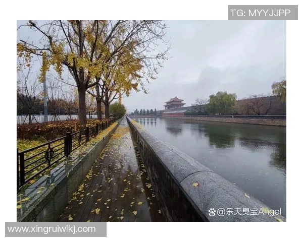 探索华东K2的魅力与挑战，揭示其独特的自然景观与人文历史