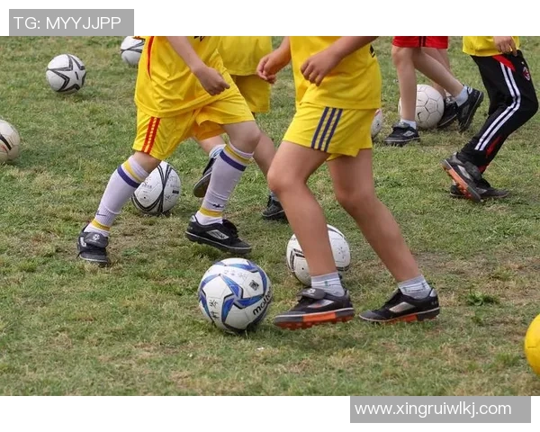 小球迷热情直播柳州足球比赛展现青春活力与团队精神